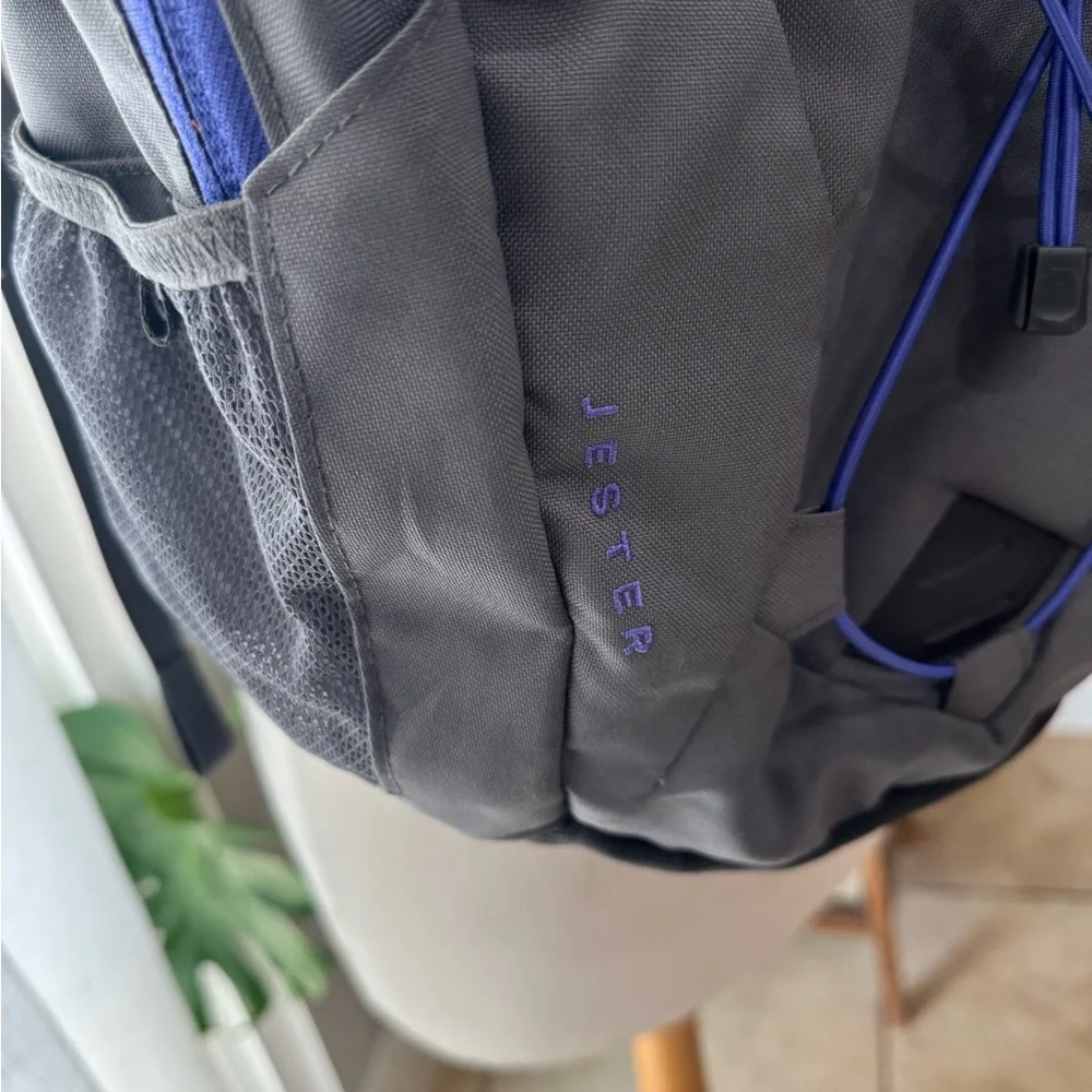 The‎ North Face Gray and Purple Outdoor Backpack Jester